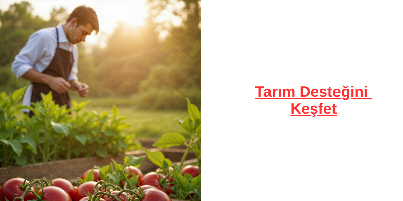 Tarım Desteğini Bul