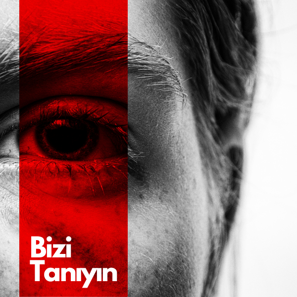Girişim Desteği